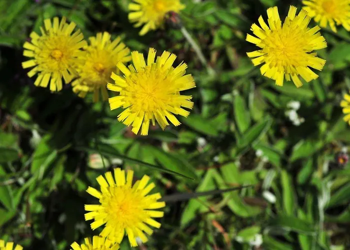 Feriehus Alte Post 6